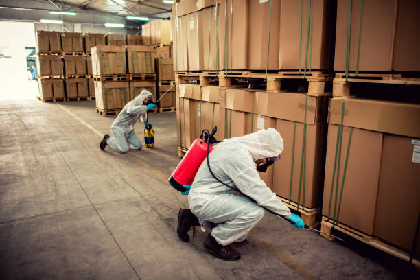 Best Local Pest Control Services  in Eldersburg, MD