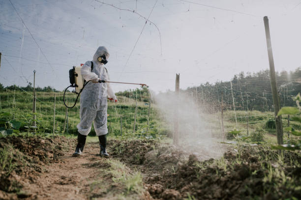 Best Mosquito Control Services  in Eldersburg, MD